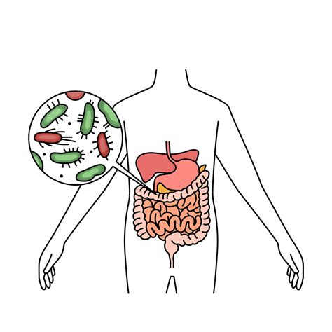 Gastrointestinal Cartoon