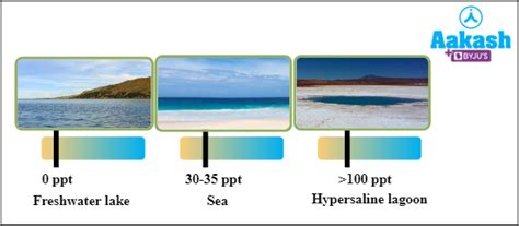 Water, Practice Problems and FAQs in Biology: Definition, Types and ...