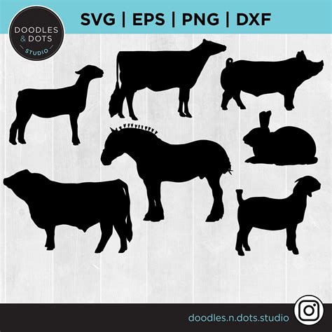 Livestock Show Clip Art
