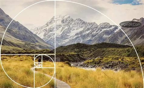 摄影黄金分割比例黄金分割比例是多少2022已更新今日资讯