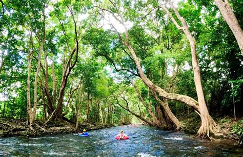 Daintree River Float River Tubing Cairns – Half Day