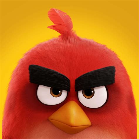 Download Angry Bird Red Character Portrait Wallpaper | Wallpapers.com