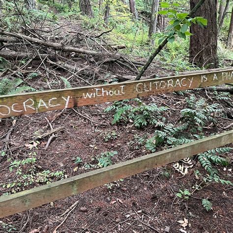 Sehome Hill Arboretum (Bellingham) - ATUALIZADO 2022 O que saber antes ...