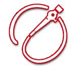 Servicios veterinarios | Centro Veterinario Cruz Verde