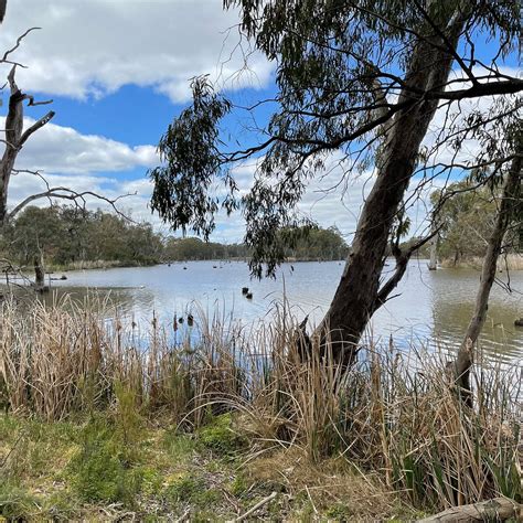 UPPER GUNBOWER LAGOON (2026) All You Need to Know BEFORE You Go (with ...