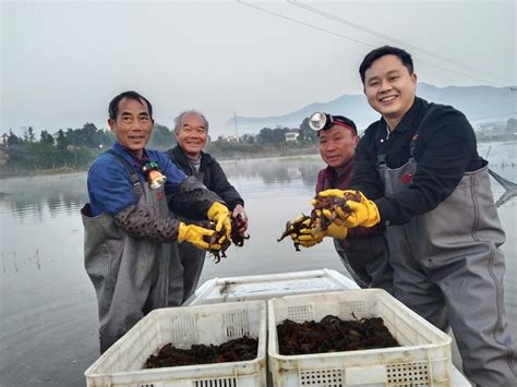 九江市卖鱼缸的地方在哪（九江市卖鱼缸的地方在哪里） - 其他品牌鱼缸 - 广州观赏鱼批发市场