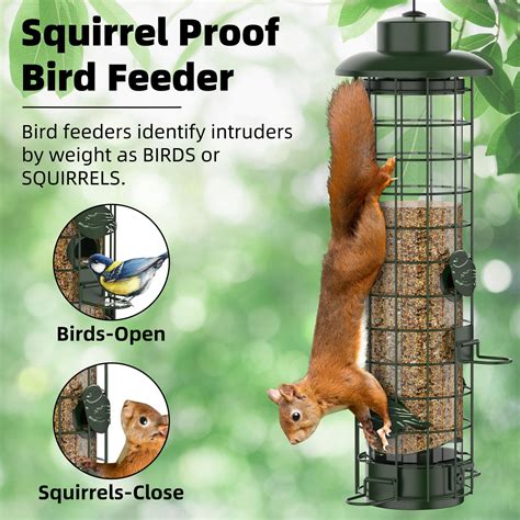Best Squirrel Proof Feeder Best Squirrel Proof Bird Feeder In 2025