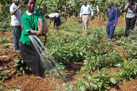 Image result for Large Scale Farming Challenges