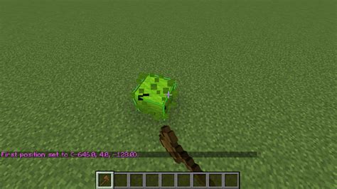 Image result for How to Get Wand in Minecraft Java Edition