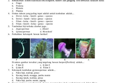 Contoh Soal Klasifikasi Makhluk Hidup: Uji Pemahamanmu!