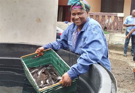 Cameroon’s Fish Farming Revolution: AfDB-Backed Project Boosts ...