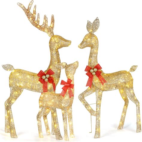 Amazon.com: Lighted Christmas Decoration Deer 3 Piece, HOYECHI Light up ...