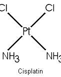 Cisplatin 的图像结果