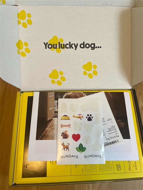 Sundays Dog Food: Complete Review with Pros, Cons, and Our Experience ...