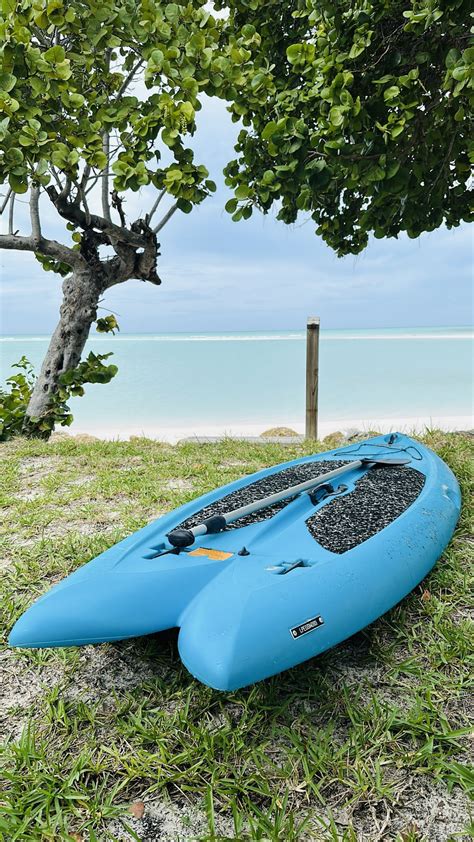 Salty Kisses and Starfish Wishes — Spanish Wells Rentals