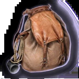 Backpack - bg3.wiki
