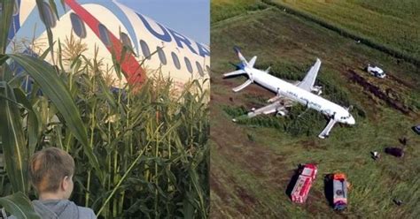 After Bird Hit, 'Hero' Russian Pilot Lands Plane On Cornfield & All 226 ...