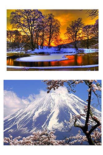 Yellow Alley Nature Wall Poster Combo|Unframed Wall Poster|Decorative ...