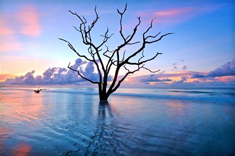 Beautiful Environment 的图像结果