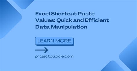 Image result for Excel Paste Values Options