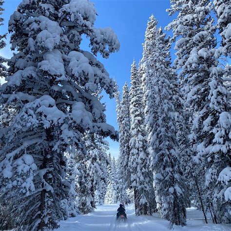 STEAMBOAT SNOWMOBILE TOURS - All You Need to Know BEFORE You Go 2026 ...