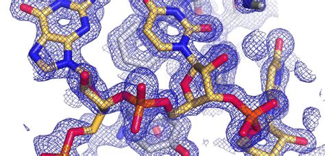 Image result for Protein Structure Modelling