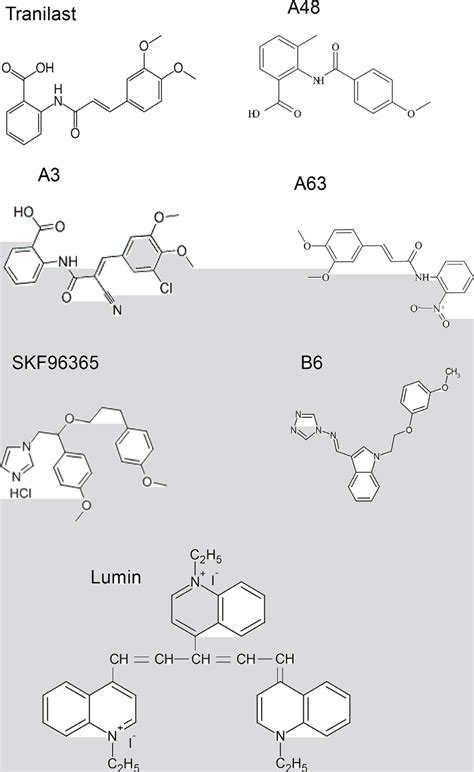 Compound 的图像结果