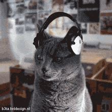 Image result for Cat Generator Control Module