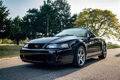 2004 Ford Cobra