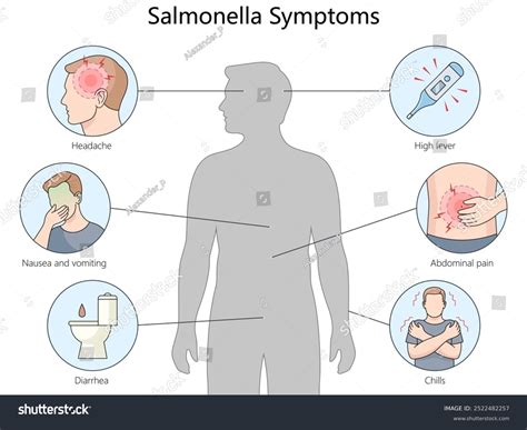 Symptoms Salmonella Headache High Fever Abdominal Stock Vector (Royalty Free) 2522482257 ...
