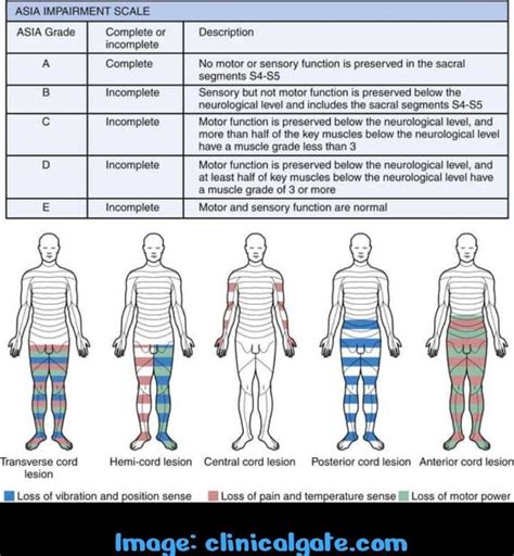Asia Sci 的图像结果