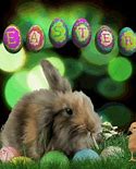 Image result for Easter Bunny Cross Stitch