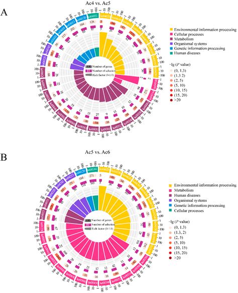 First Identification and Investigation of piRNAs in the Larval Gut of ...