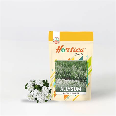 Allysum Snow Carpet – Hortica - One Stop Garden Shop