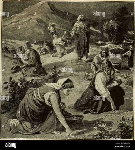 Manna from heaven hi-res stock photography and images - Alamy