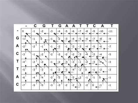 Needleman-Wunsch Tutorial 的图像结果