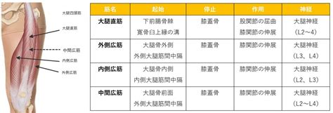 Image result for Software Process Model PDF