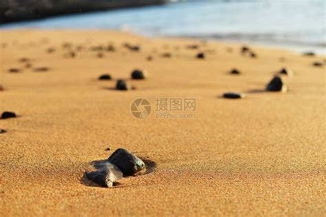 千年生态遗产 | 黄河、长江共同孕育的盐城海岸湿地滩涂 - 知乎
