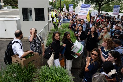 Francesca Albanese, UN Special Rapporteur: Researchers say 700,000 dead ...