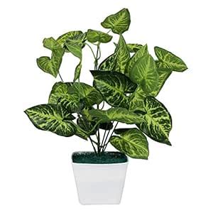 Buy carmer Artificial Money Plant with White Square Melamine Pot Online ...