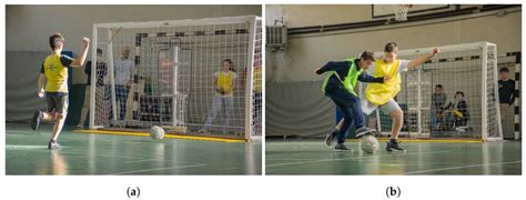 Remotely Controlled Electronic Goalkeeper: An Example of Improving ...