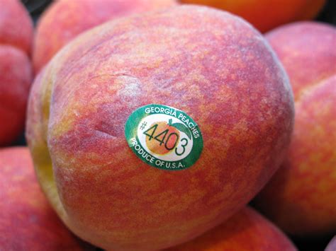Your Southern Peach: Georgia Peaches