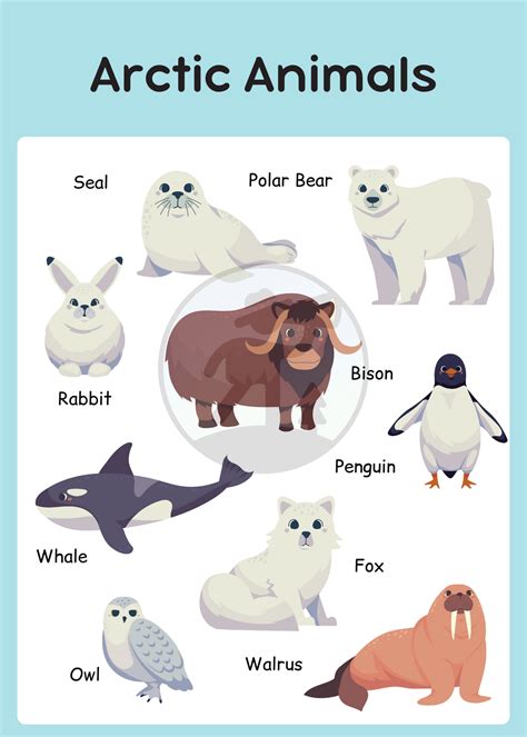 Blue & White Arctic Animals Poster for Kids - Cute & Simple Educational ...