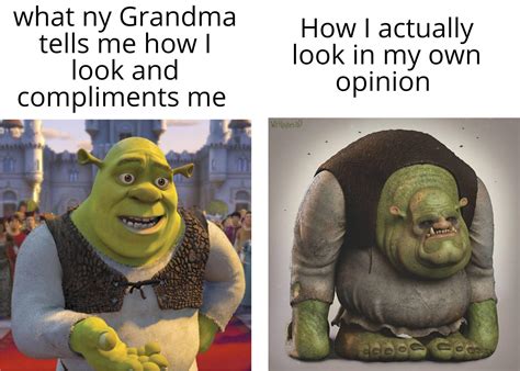 Image result for Shrek Script Memes