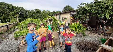 The Northwoods School Garden Club is off of a great start! - Northwoods ...