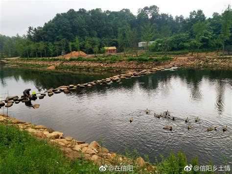 信阳浉河区：茶旅兴 百姓富 茶乡美-信阳师范学院图书馆茶学文献资源平台