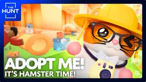 Image result for Adopt MeGUI Script