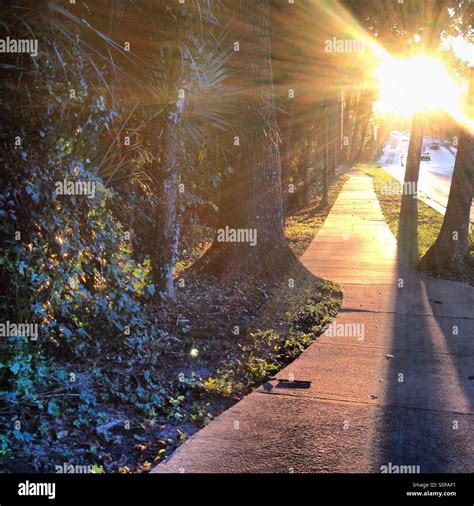 Florida gainesville sunset hi-res stock photography and images - Alamy