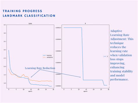 Computer Vision Classification Example 的图像结果