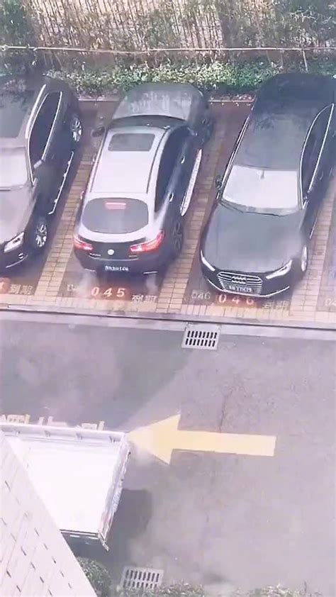 看了这个视频，你就知道为什么停车的时候要尽量倒进去了！|_新浪新闻